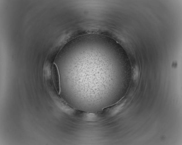 X0000091950287200709201329