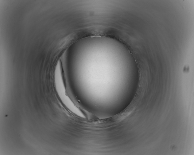 X0000091950288200709201329