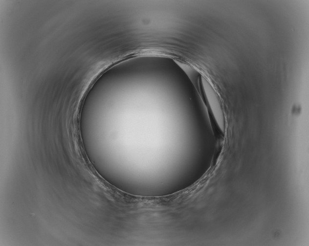 X0000091950289200709201328