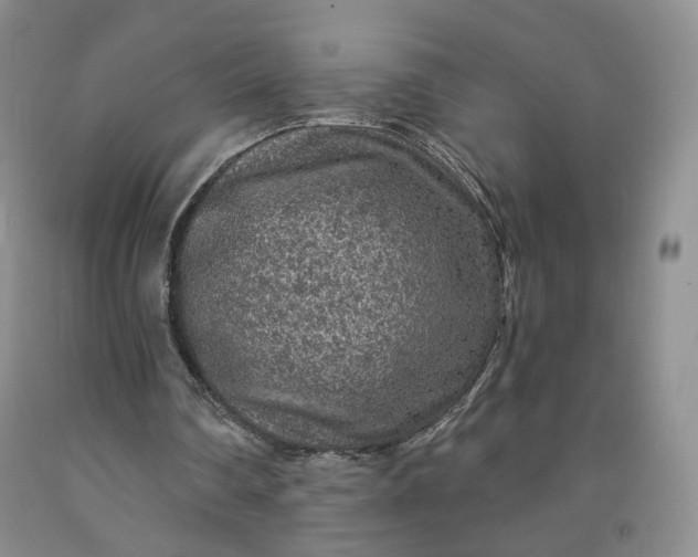 X0000091950290200709201328