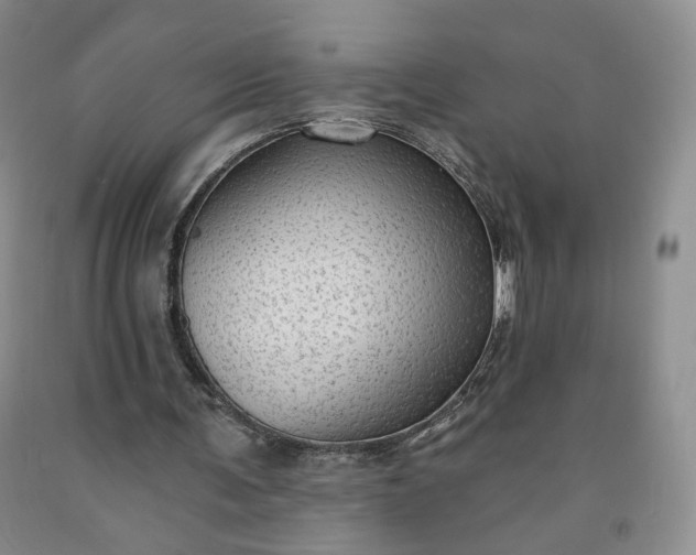 X0000091950291200709201328