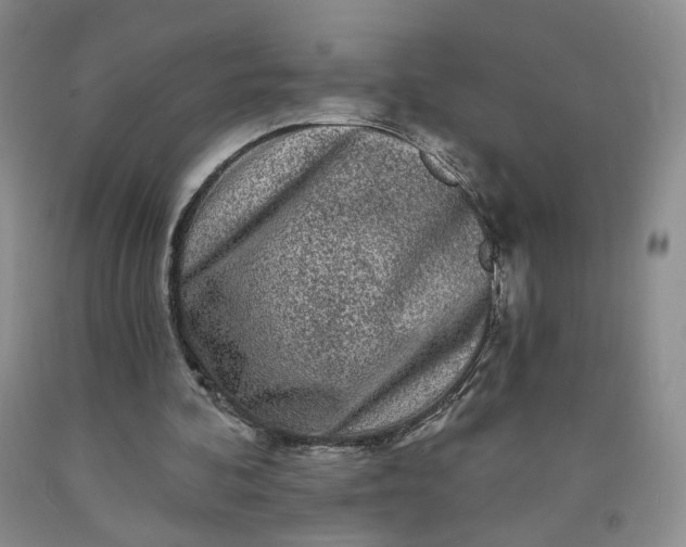 X0000091950292200709201328