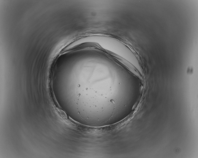 X0000091950293200709201328