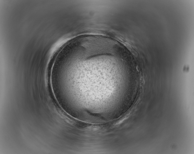 X0000091950294200709201328