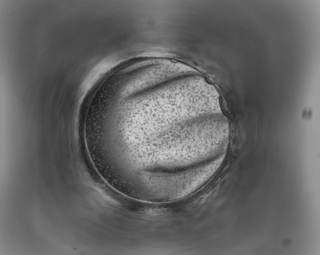 X0000091950296200709201328