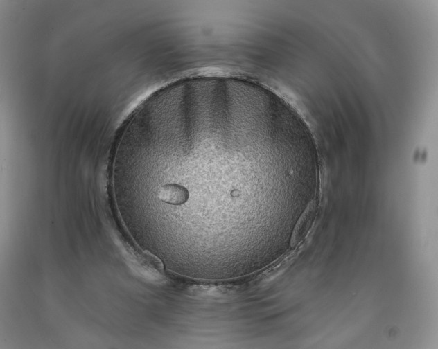 X0000091950297200709201328