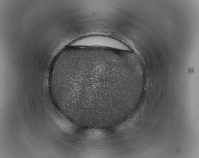 X0000091950299200709201328