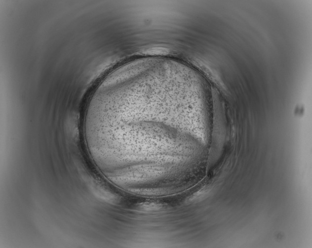 X0000091950300200709201328