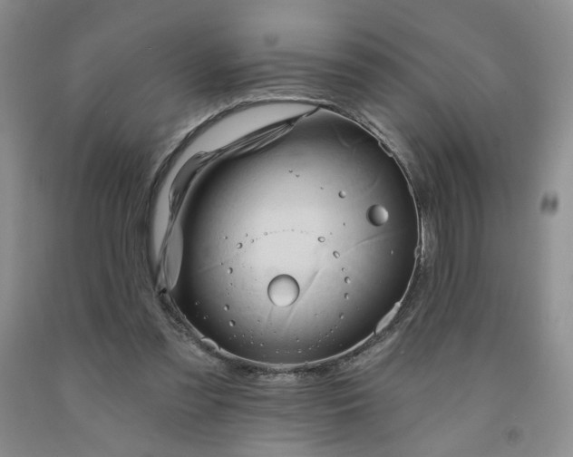 X0000091950301200709201328