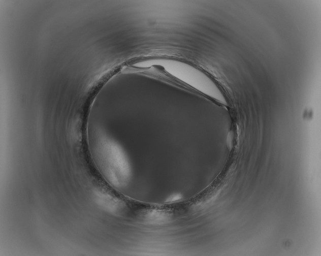 X0000091950303200709201328