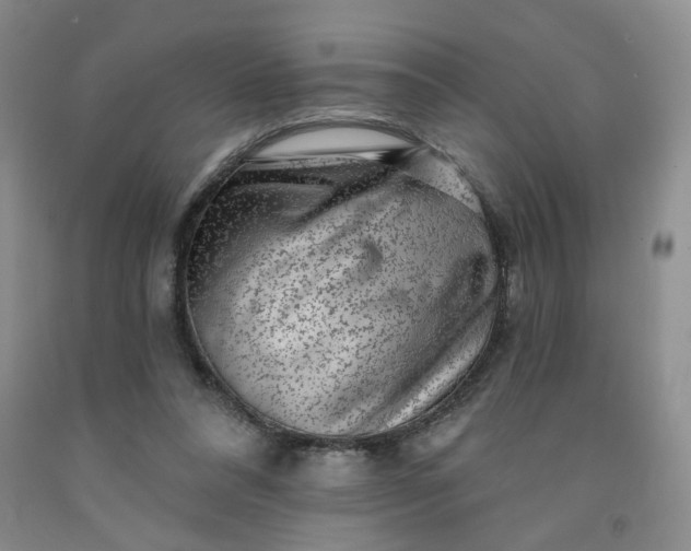 X0000091950304200709201328