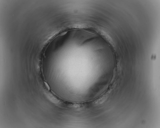 X0000091950305200709201328