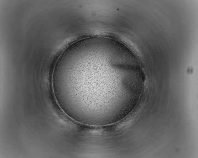 X0000091950306200709201328