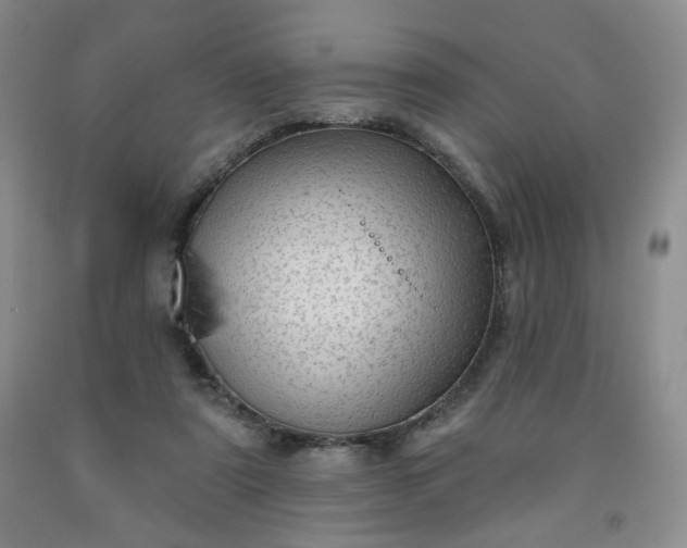 X0000091950307200709201328