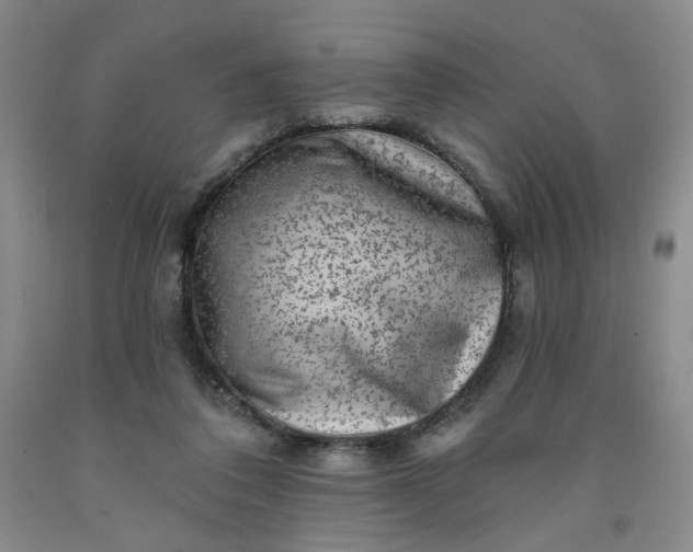 X0000091950308200709201328