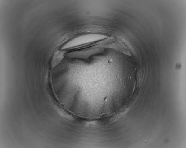 X0000091950309200709201328