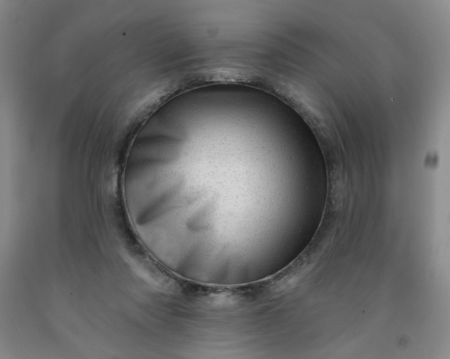 X0000091950310200709201328