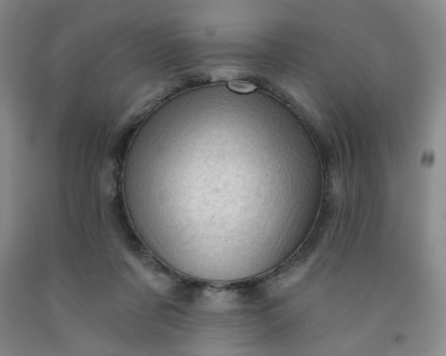 X0000091950311200709201328