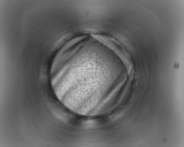 X0000091950312200709201328