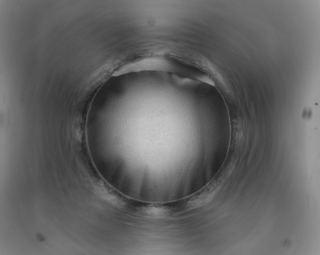 X0000091950313200709201328