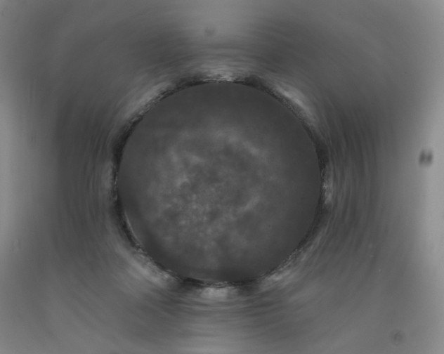 X0000091950314200709201328