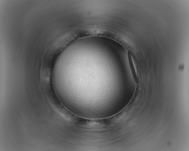 X0000091950315200709201328