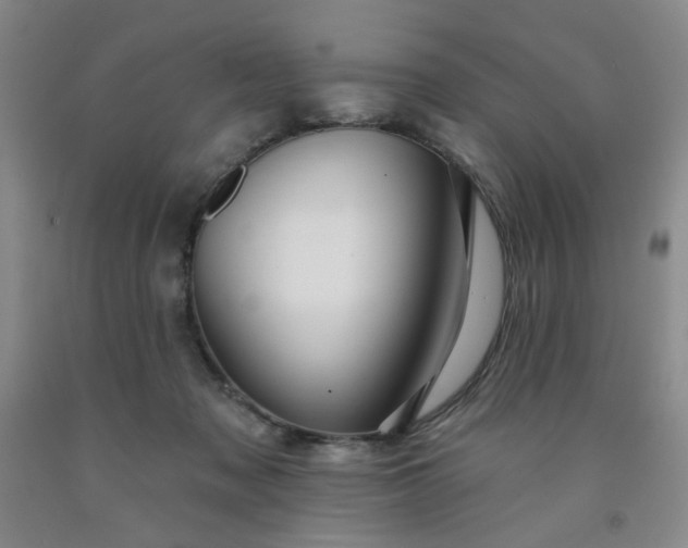 X0000091950317200709201328