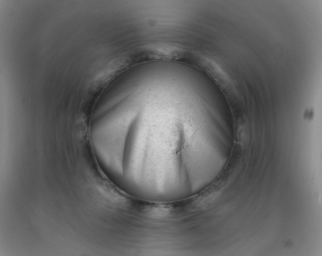 X0000091950318200709201328