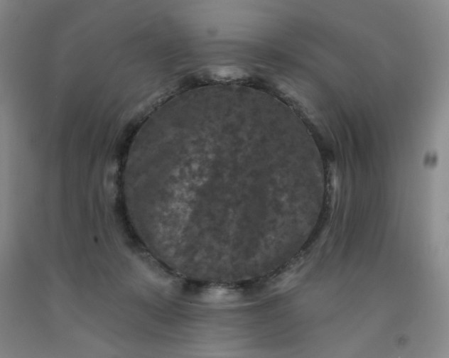 X0000091950319200709201328