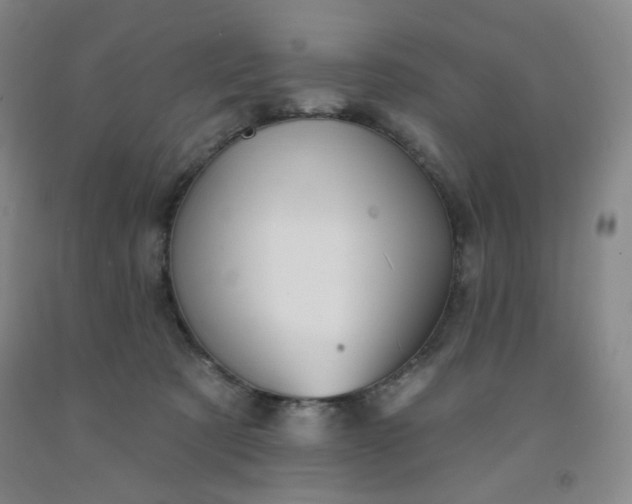 X0000091950321200709201328