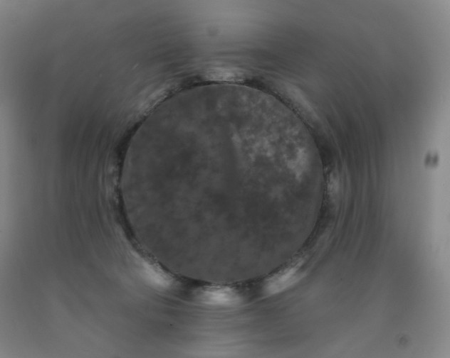 X0000091950322200709201328