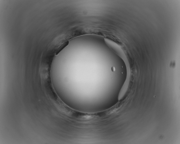 X0000091950323200709201328