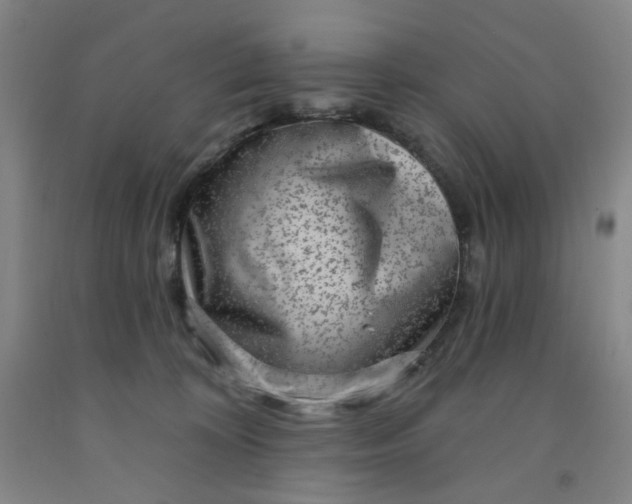 X0000091950324200709201328