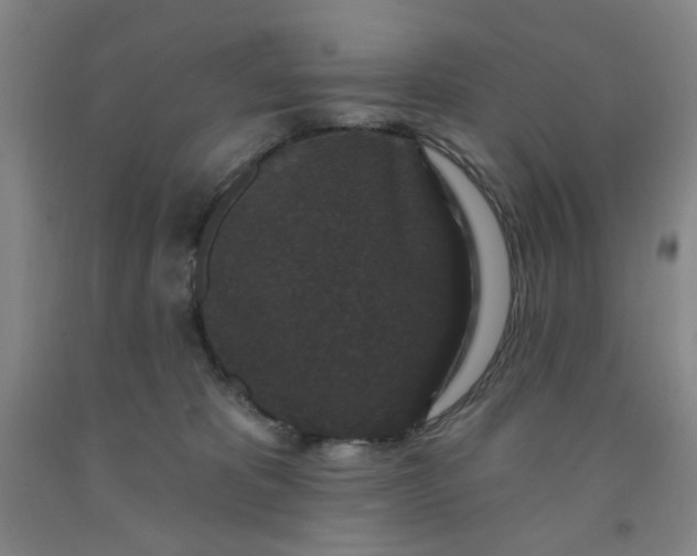 X0000091950325200709201328