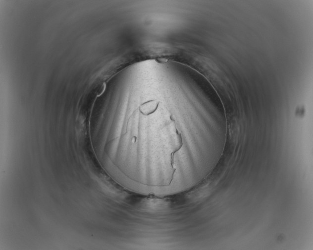 X0000091950327200709201328