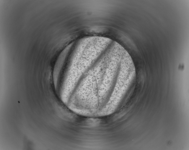 X0000091950328200709201328