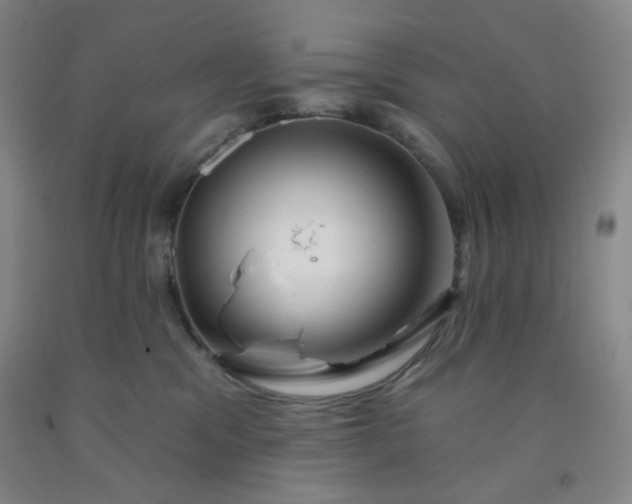 X0000091950329200709201328