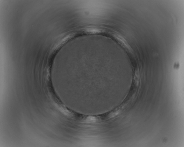 X0000091950330200709201328