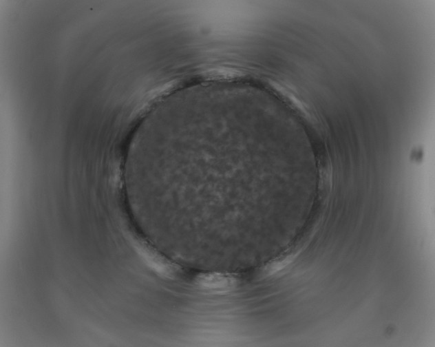 X0000091950331200709201328