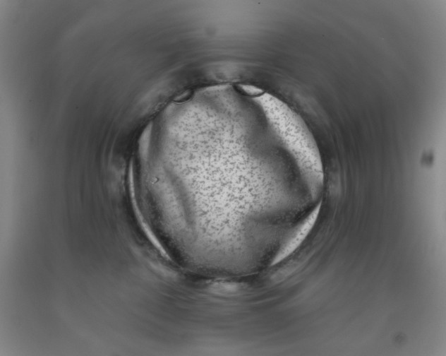 X0000091950332200709201328