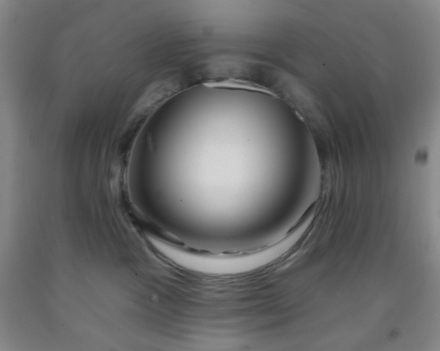 X0000091950333200709201328