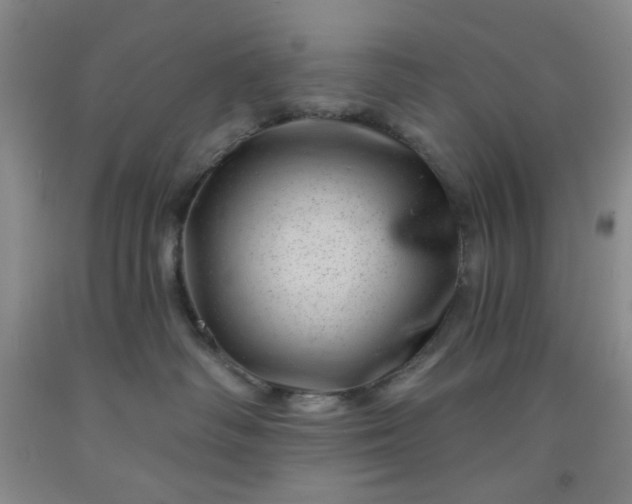 X0000091950334200709201328