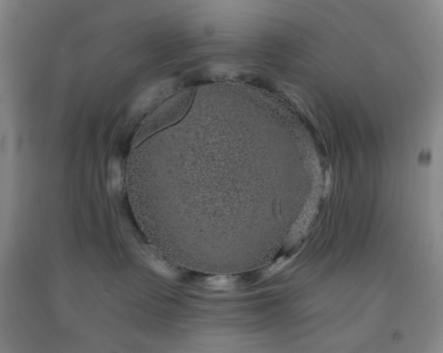 X0000091950335200709201327