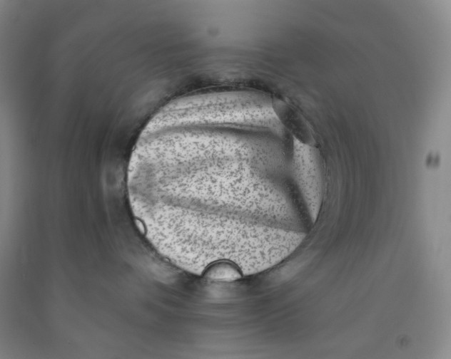 X0000091950336200709201327