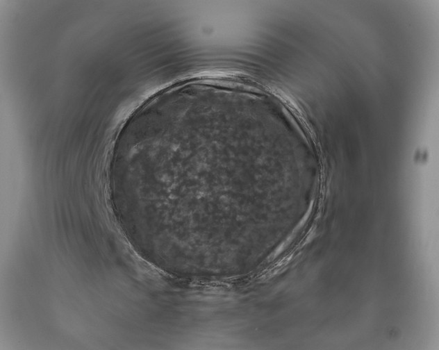 X0000091950337200709201327