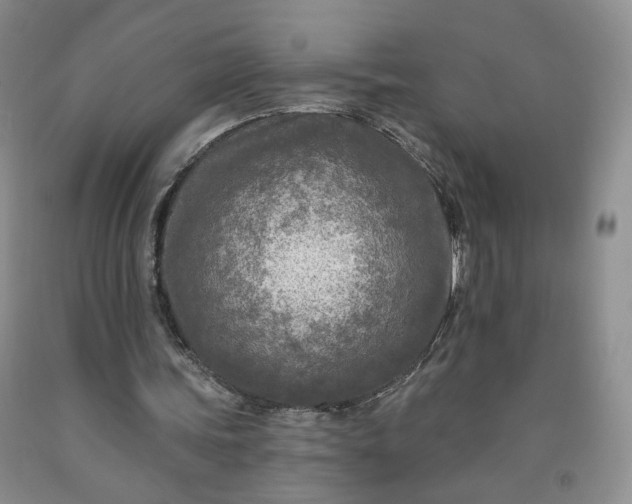 X0000091950339200709201327