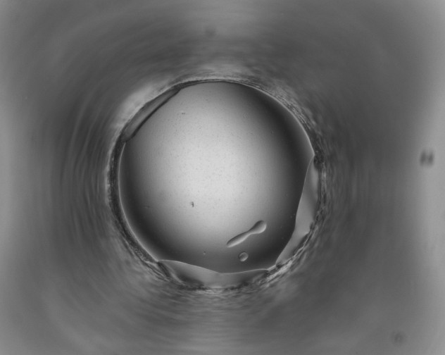 X0000091950340200709201327