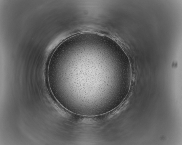 X0000091950341200709201327