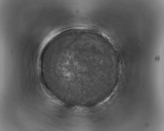 X0000091950343200709201327