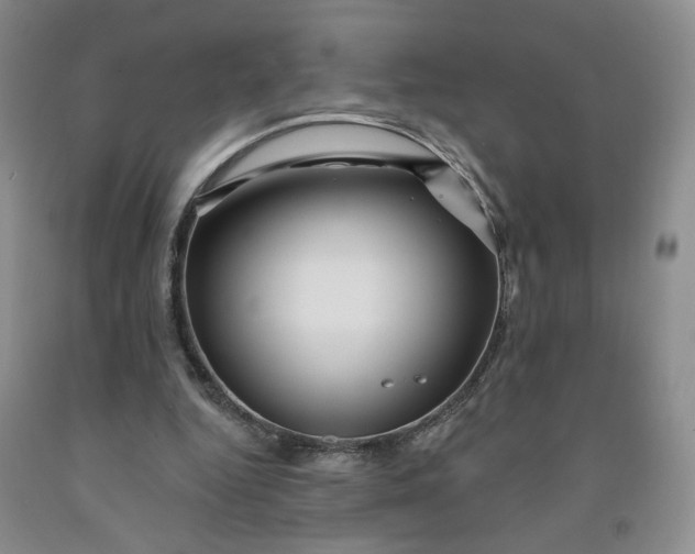 X0000091950344200709201327